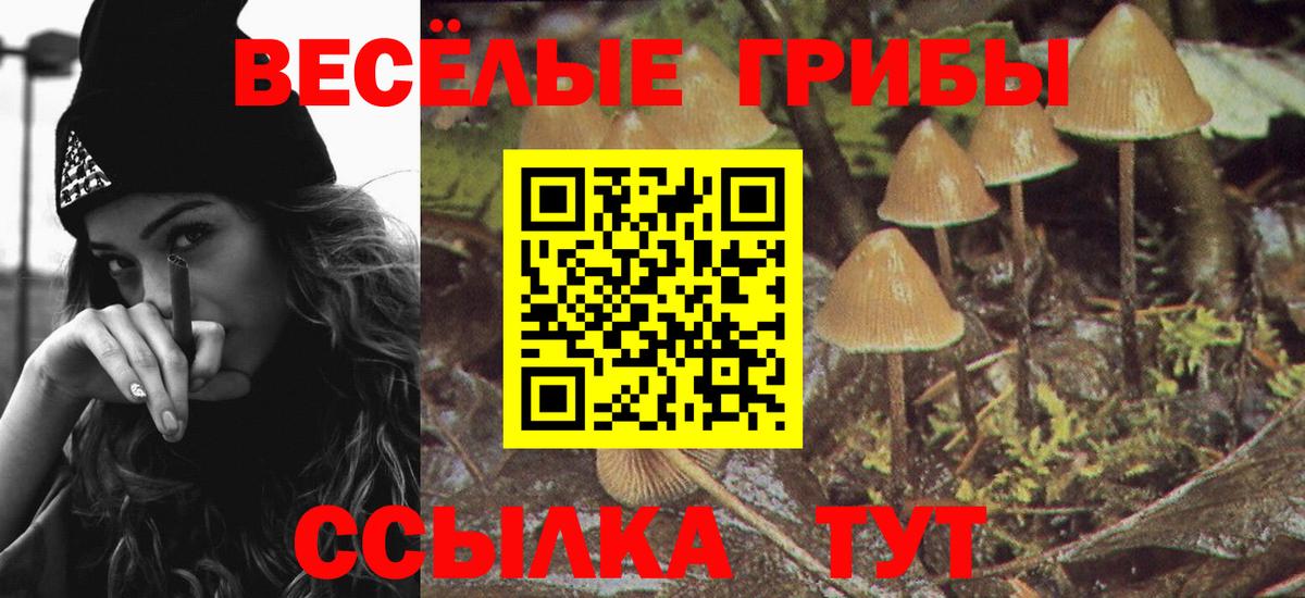 Псилоцибиновые грибы прущие грибы Железноводск