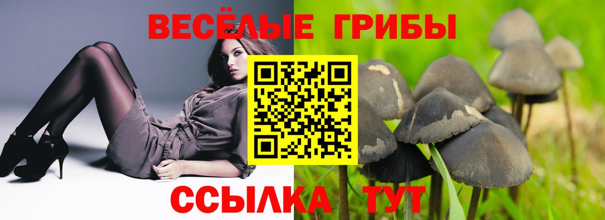Железноводск  Галлюциногенные грибы ЛСД  Вход с VPN 